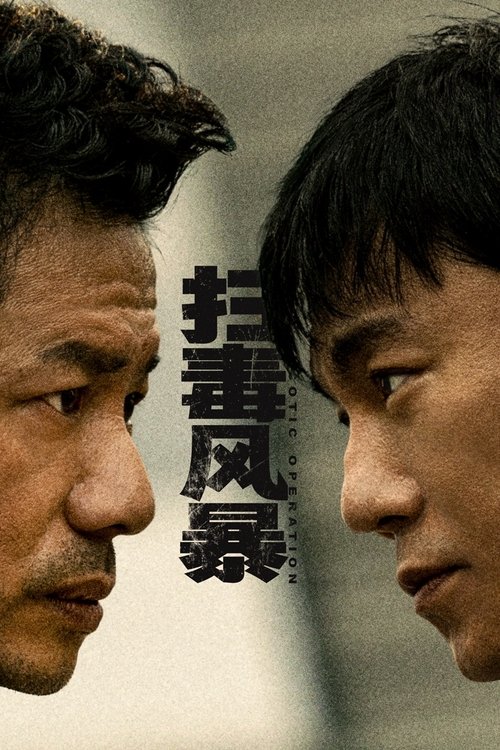 扫毒风暴 (2025) 4K SDR 60FPS 杜比音效 S01E01-E04