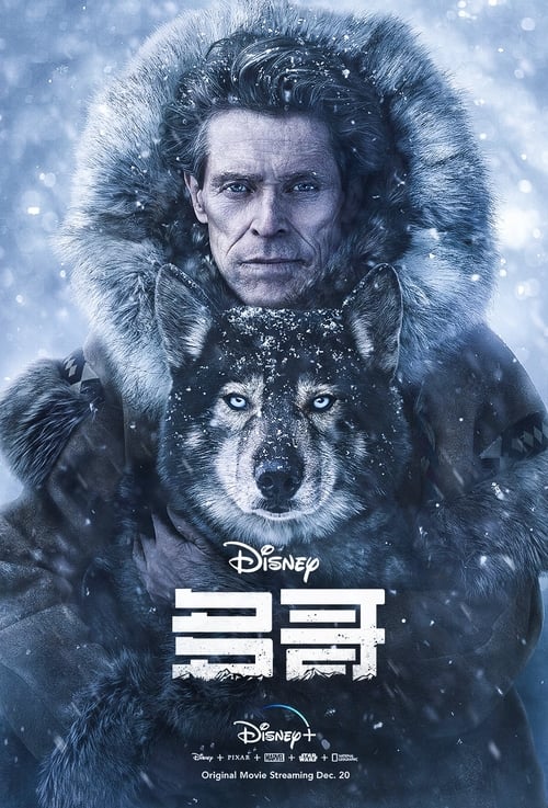 多哥 (2019) 多哥 2019 豆瓣8.8 4K Web SDR 简繁英双语四字幕 老K 15G