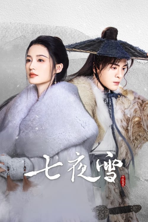 七夜雪 (2024) 4K EDR 高码率 S01全