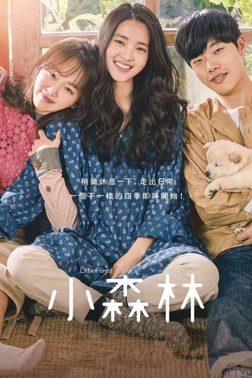 小森林 (2018) 小森林 2018 韩国 豆瓣7.5 蓝光原盘REMUX 原盘简繁中字 老K 25G