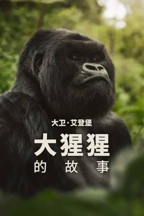 大卫·艾登堡：大猩猩的故事 (2026) 4K HDR10 内封简繁英字幕