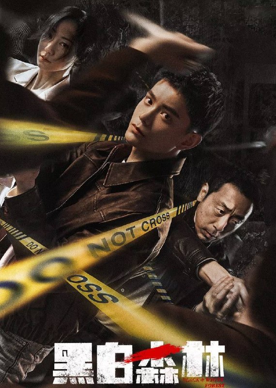 黑白森林（2024）4K 臻彩 杜比音效 S01全