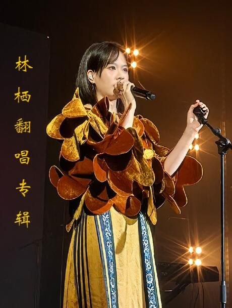 林栖《林栖翻唱精选集》[FLAC]