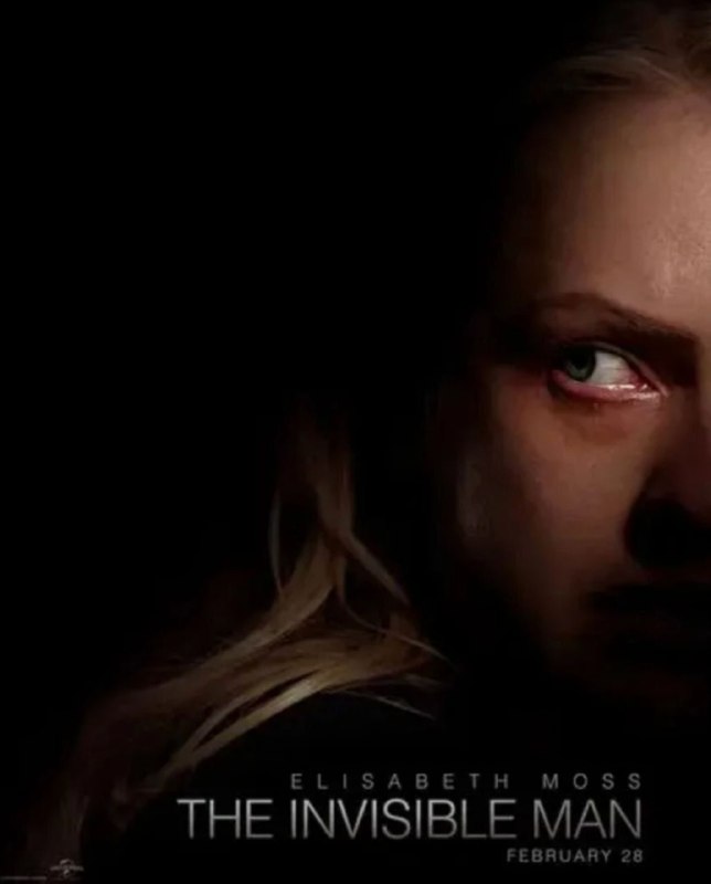 隐形人 (2020) 4K HDR & Dv 外挂简中字幕