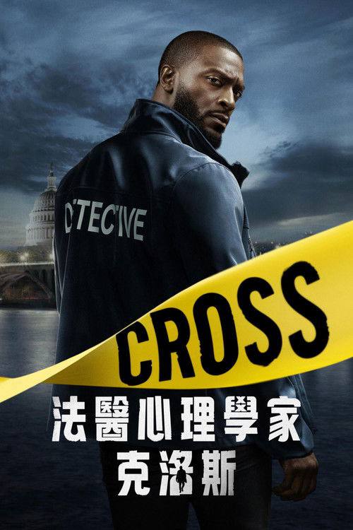 神探追缉令 第二季 (2024) 4K HDR10+  全集 内封简繁英字幕