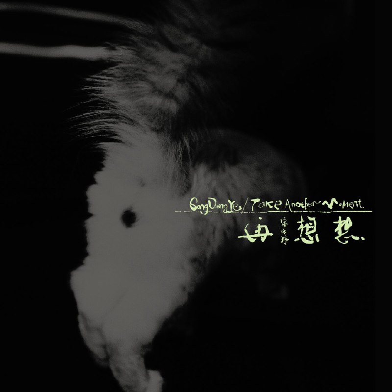 宋冬野 再想想 Take Another Moment - 2026-06-29 44.1kHz 16bit FLAC Qobuz