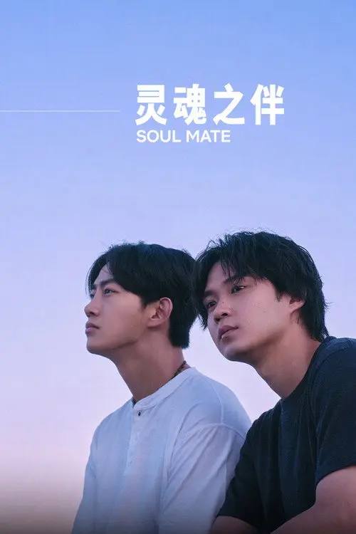 灵魂之伴 (2026) 4K 高码 全集 内封简繁日字幕